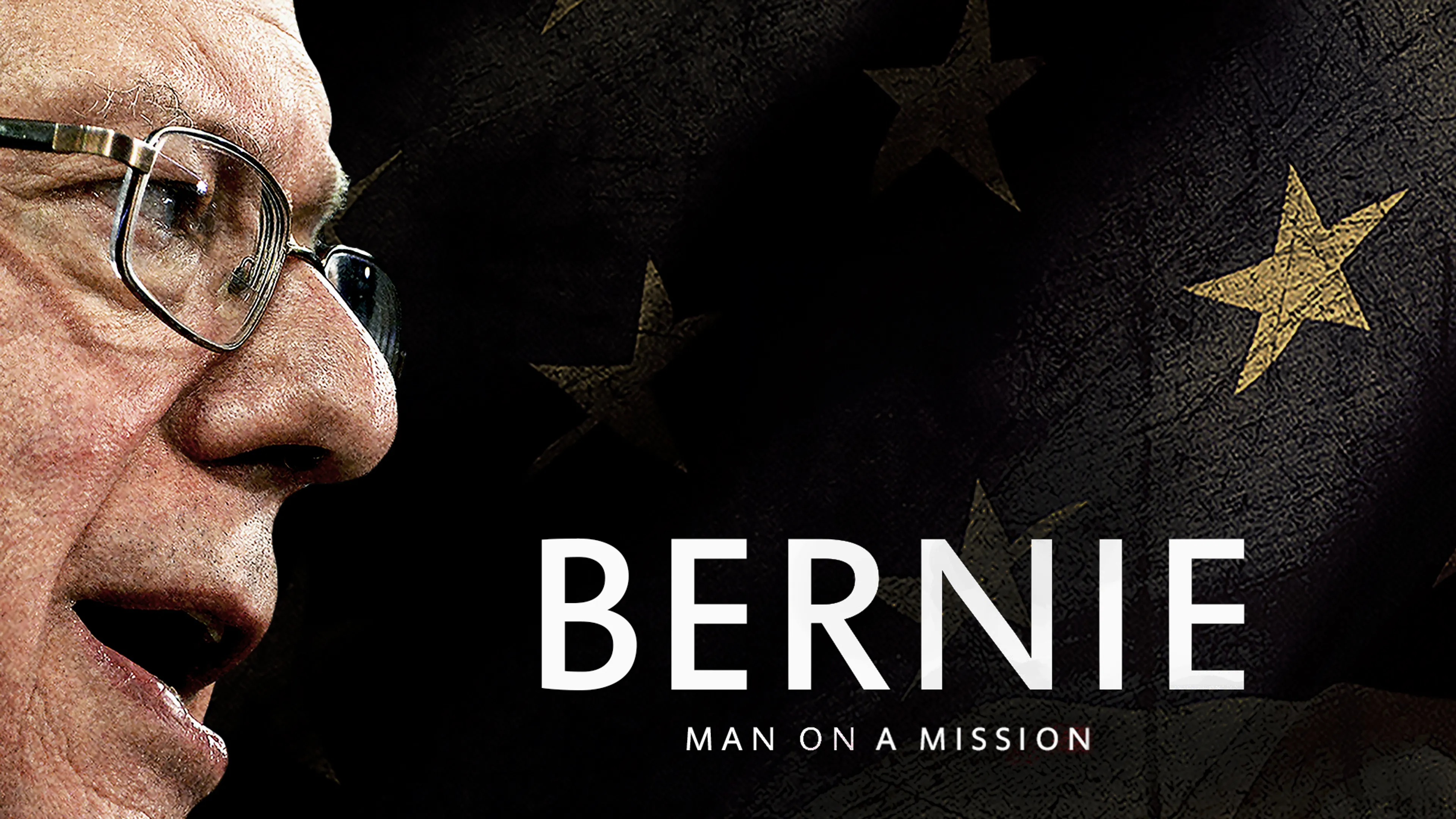 Bernie: Man on a Mission poster